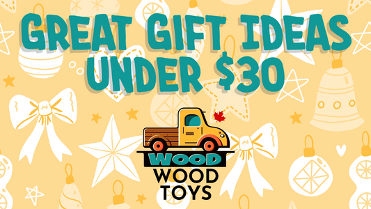Great Gift Ideas under $30