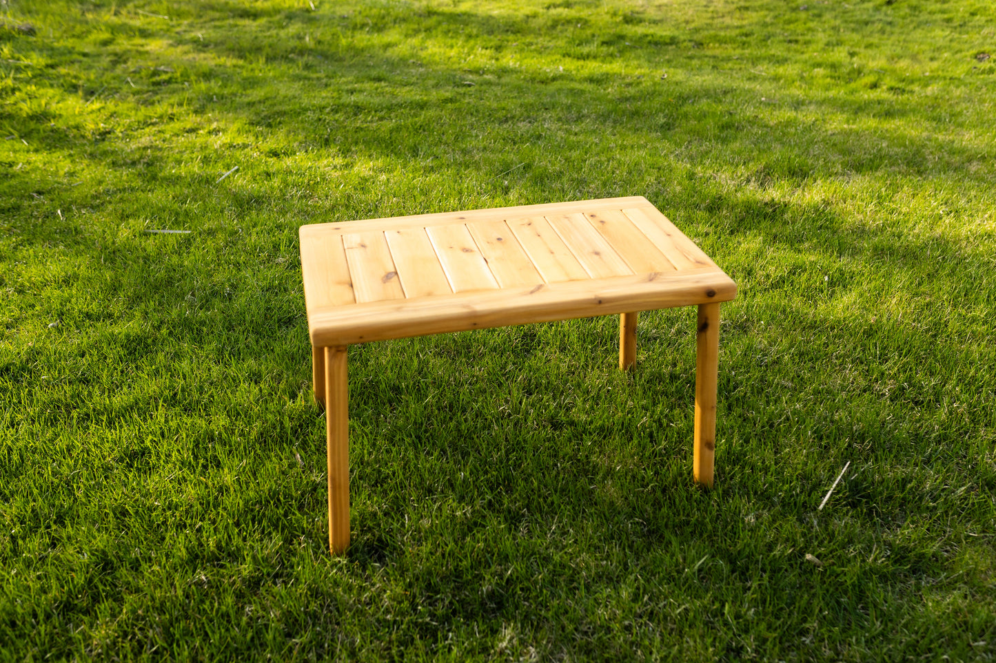 The Essential Activity Table