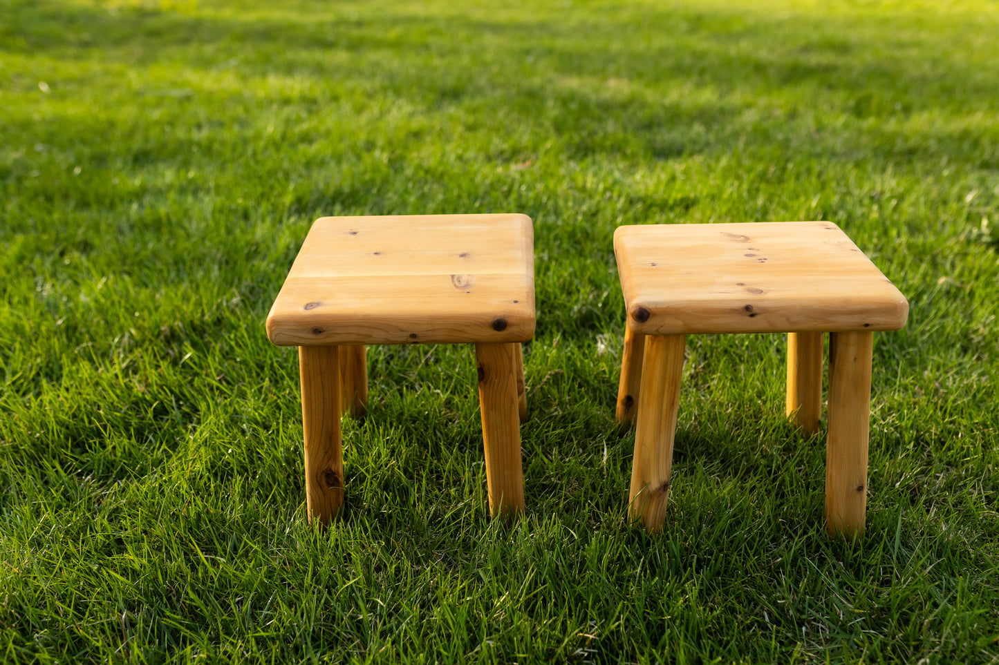 The Essential Dual Bin Sensory Table