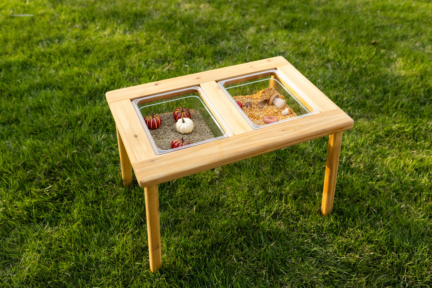 The Essential Dual Bin Sensory Table