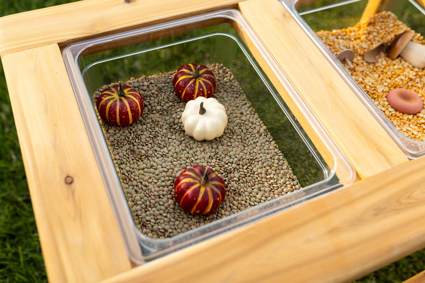 The Essential Dual Bin Sensory Table