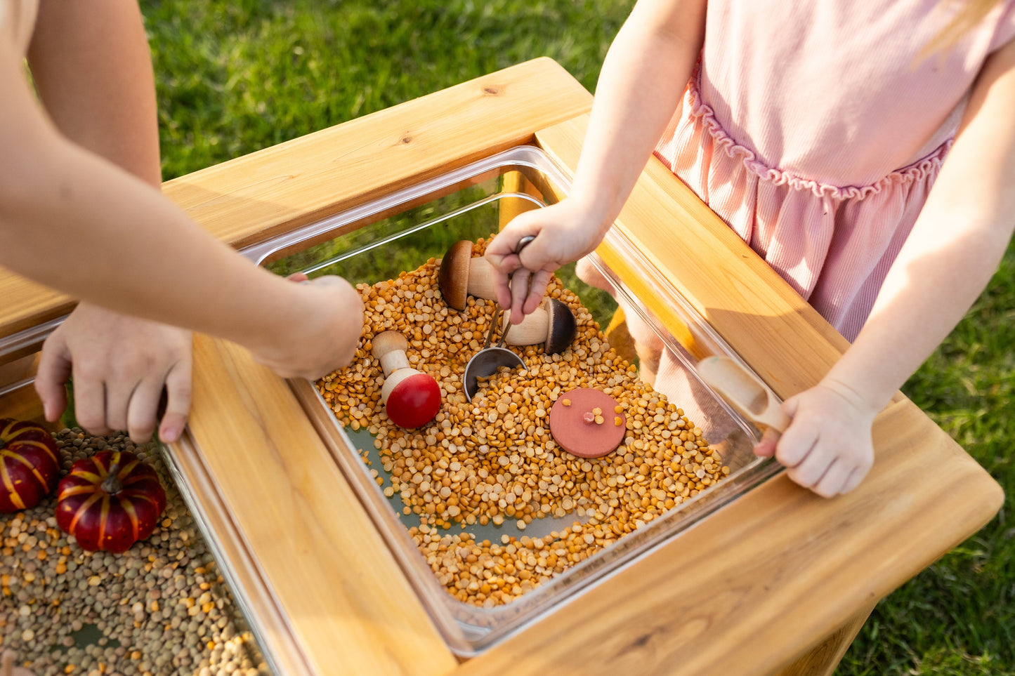 The Essential Dual Bin Sensory Table