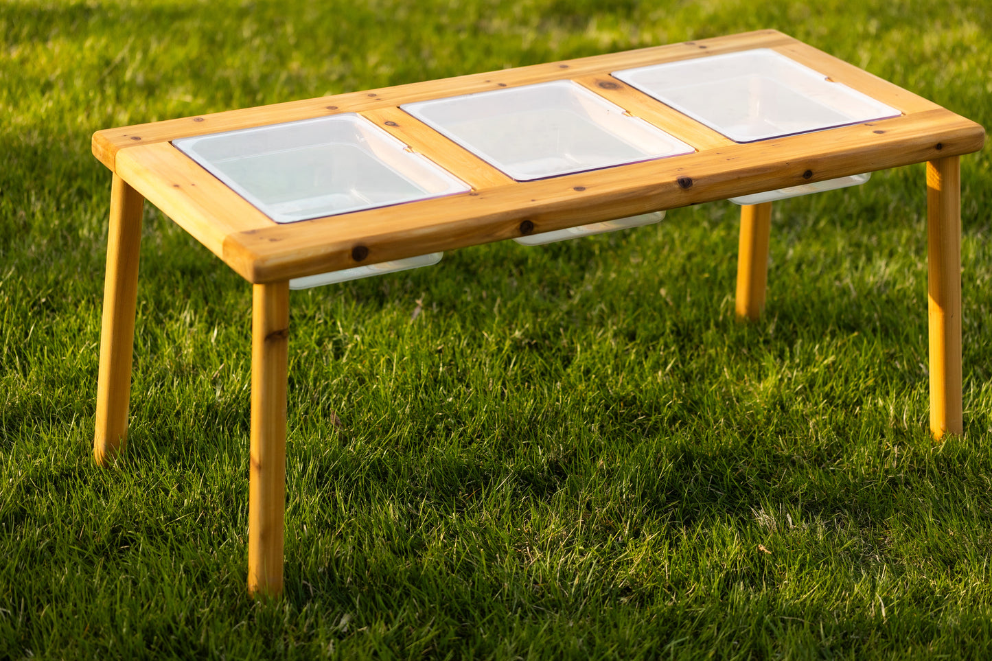 The Essential Three Bin Sensory Table