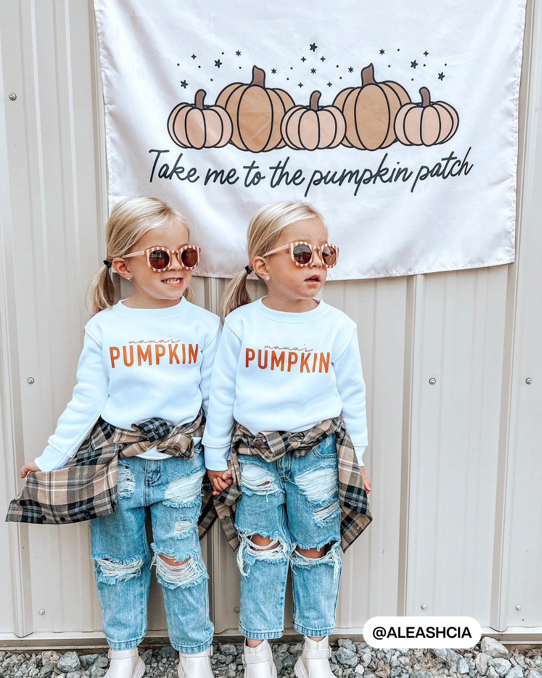 Take Me To The Pumpkin Patch Banner