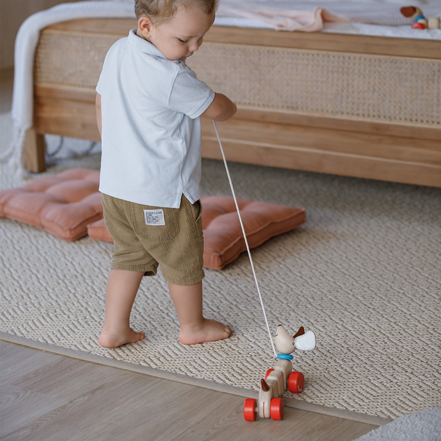 Happy Puppy Pull Toy by PlanToys