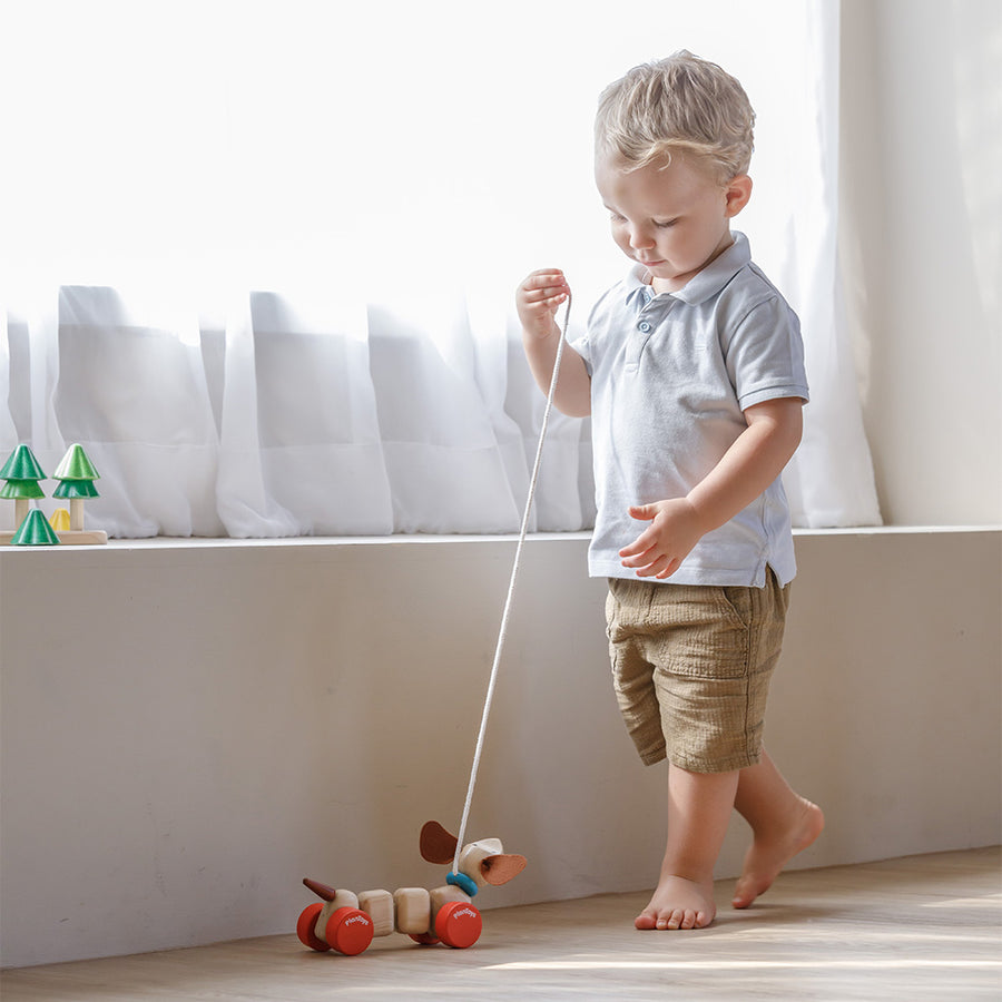 Happy Puppy Pull Toy by PlanToys