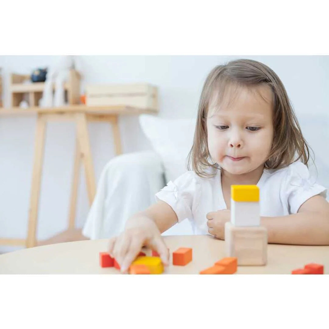 Fraction Cubes by PlanToys