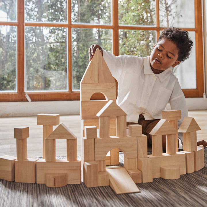 50 Unit Blocks by PlanToys