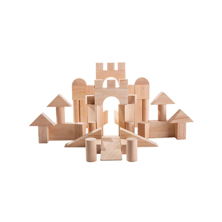 50 Unit Blocks by PlanToys