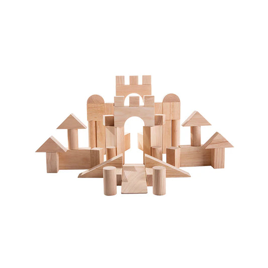 50 Unit Blocks by PlanToys