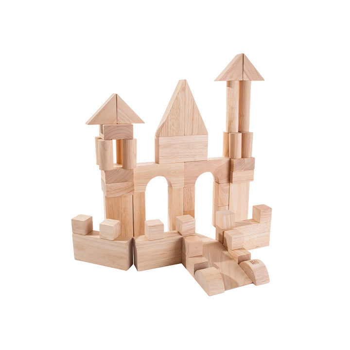 50 Unit Blocks by PlanToys