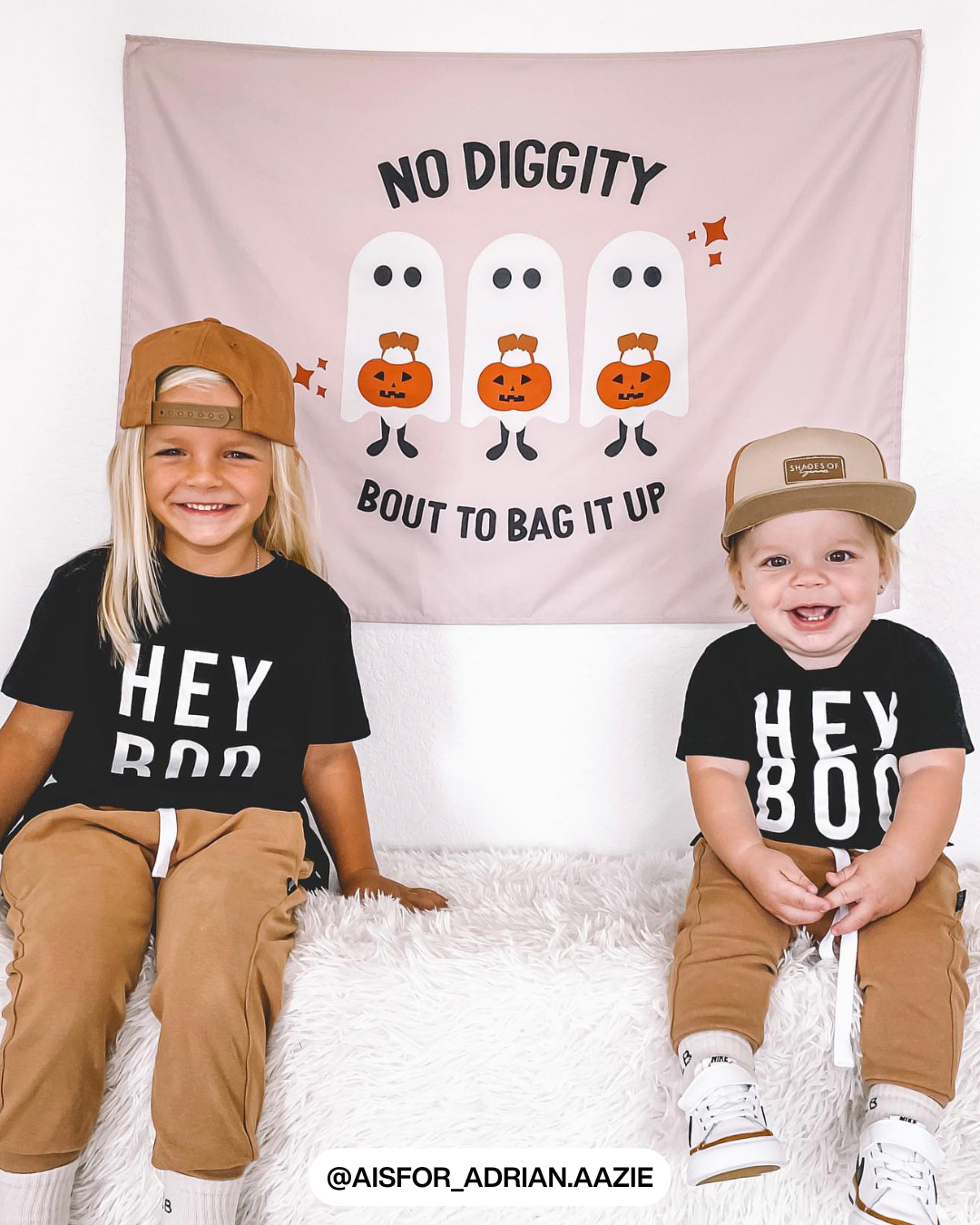 No Diggity Banner