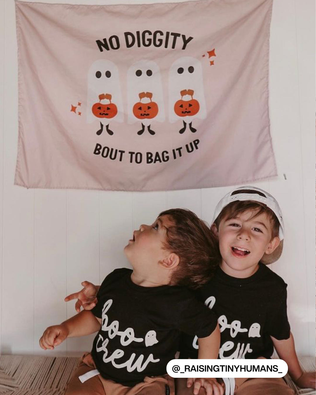 No Diggity Banner