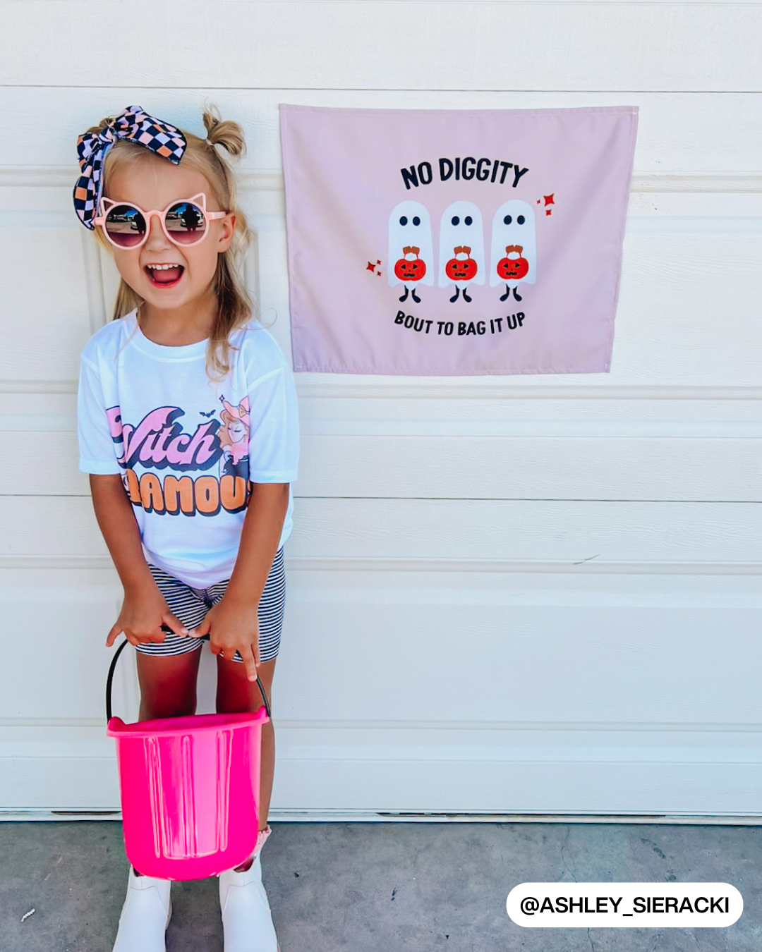No Diggity Banner
