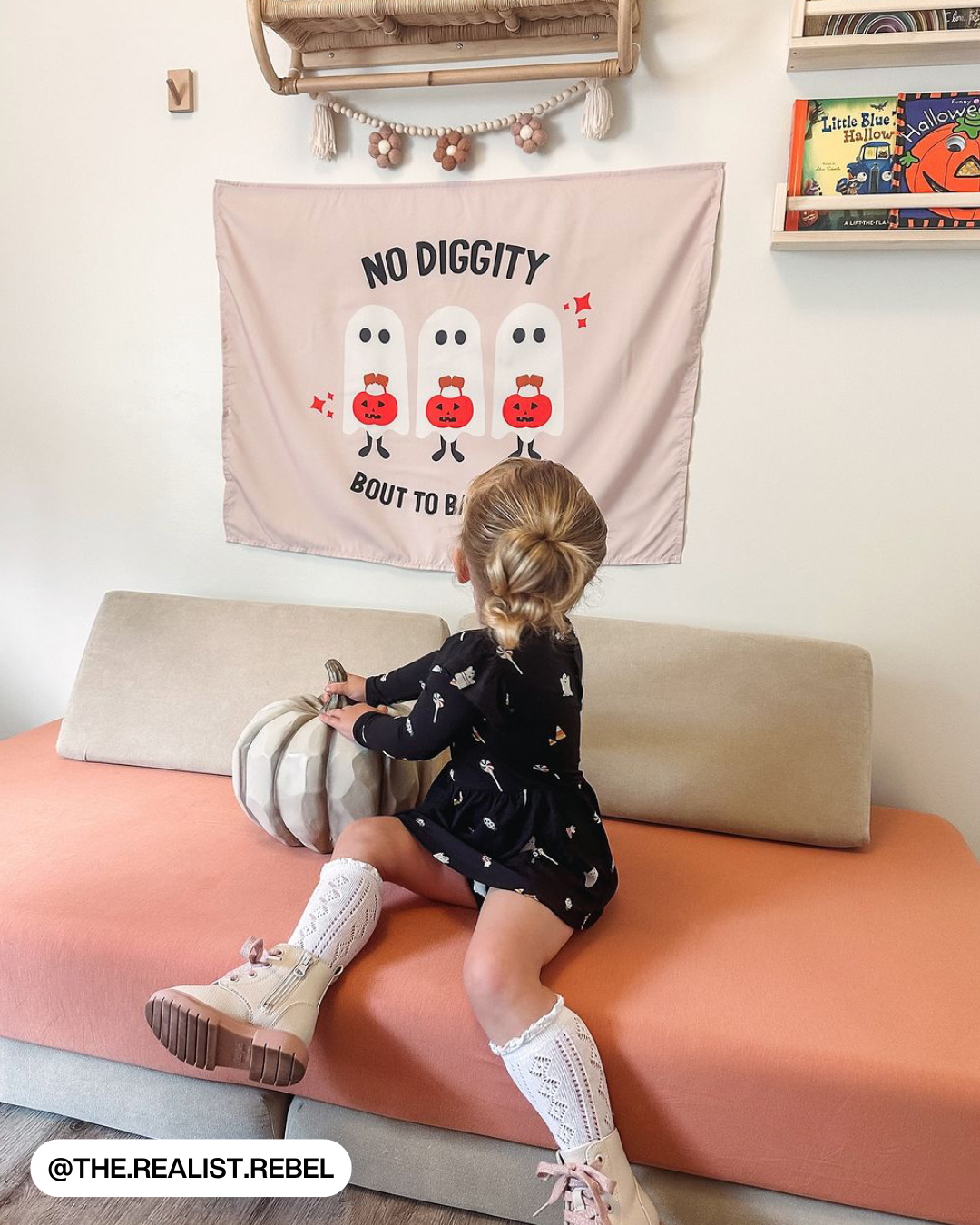 No Diggity Banner