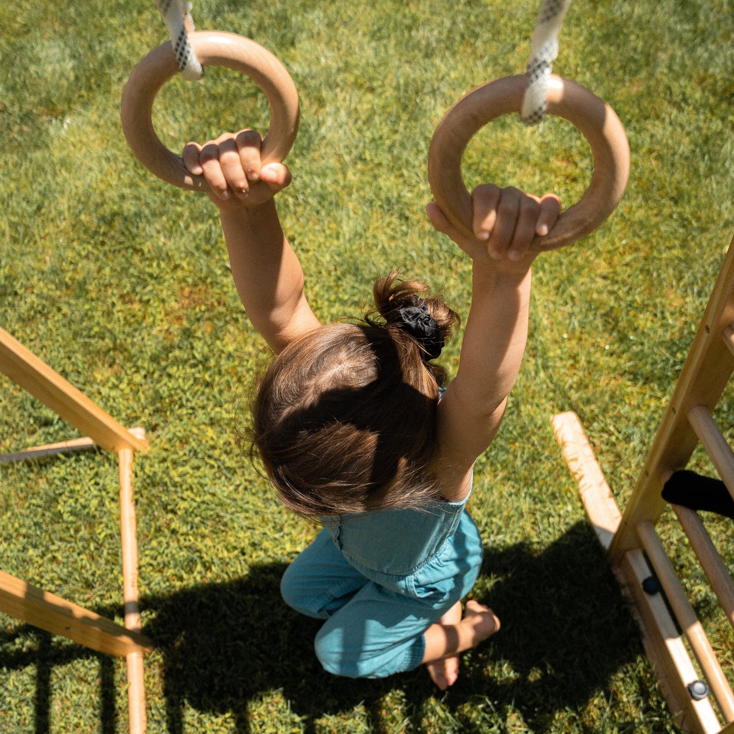Chestnut - Jungle Gym 8 en 1 pour tout-petits par Avenlur