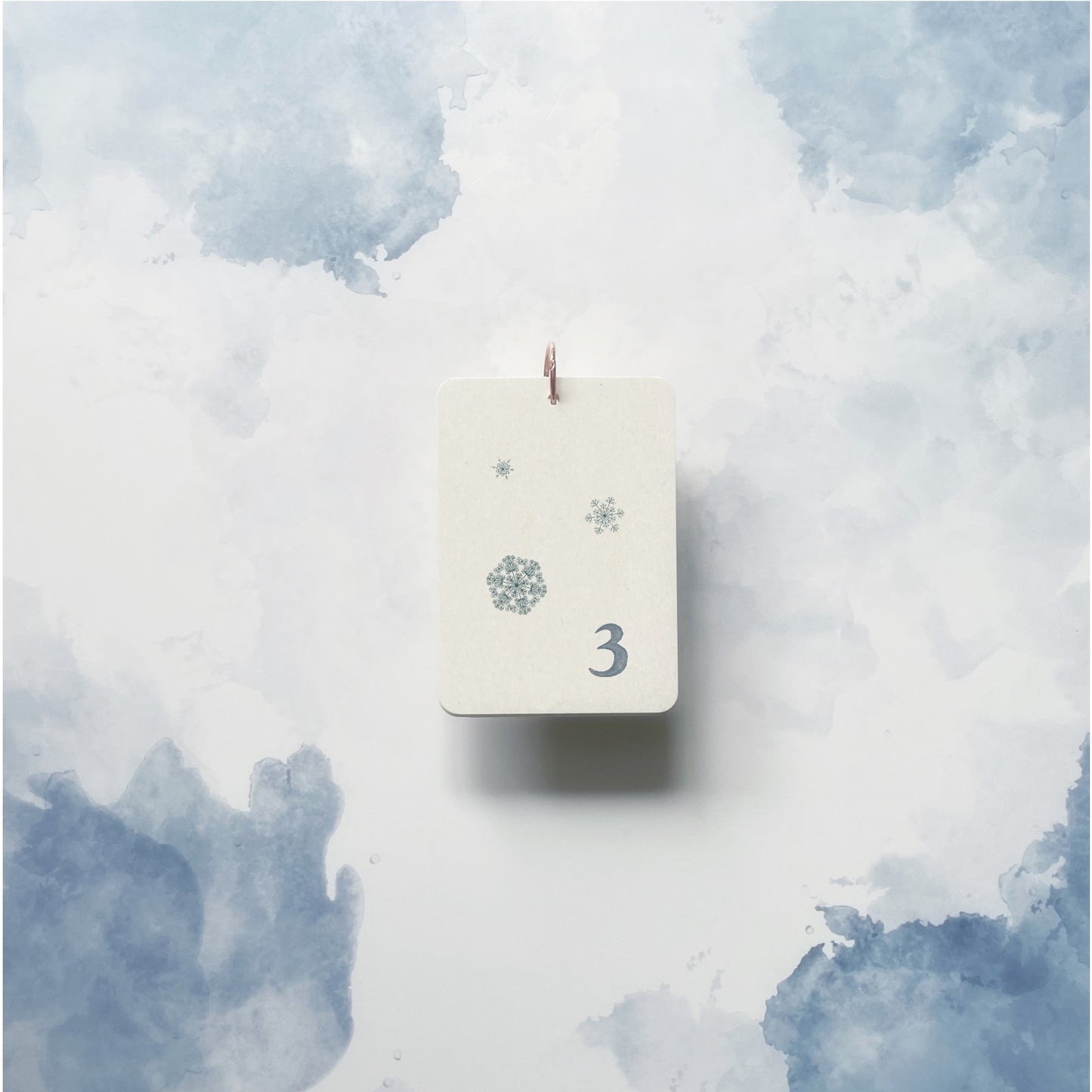 Étape 3 : Polar Friends - En un flash Flashcards