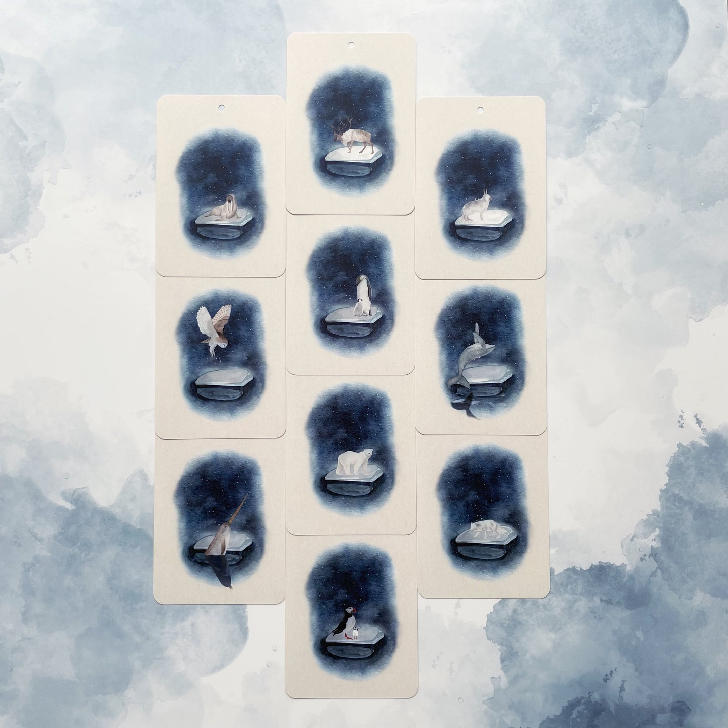 Étape 3 : Polar Friends - En un flash Flashcards