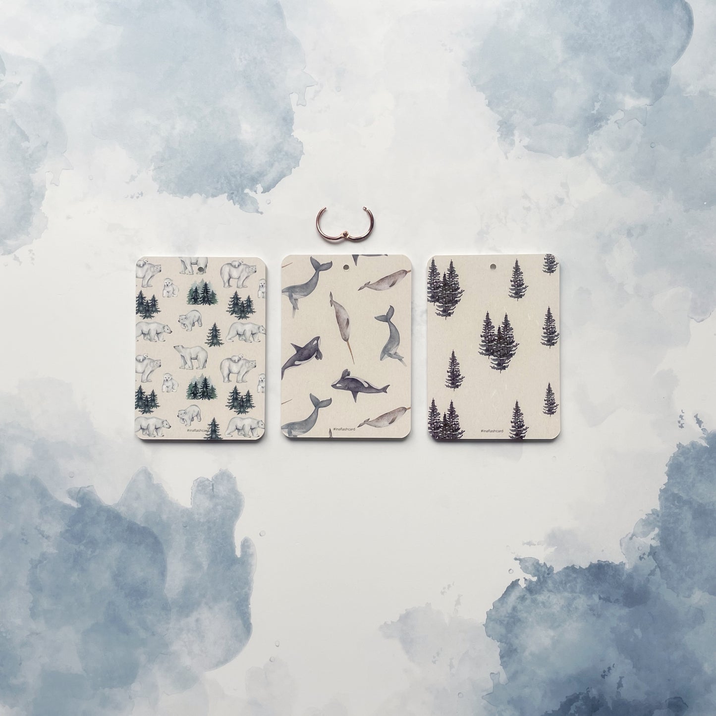 Étape 3 : Polar Friends - En un flash Flashcards