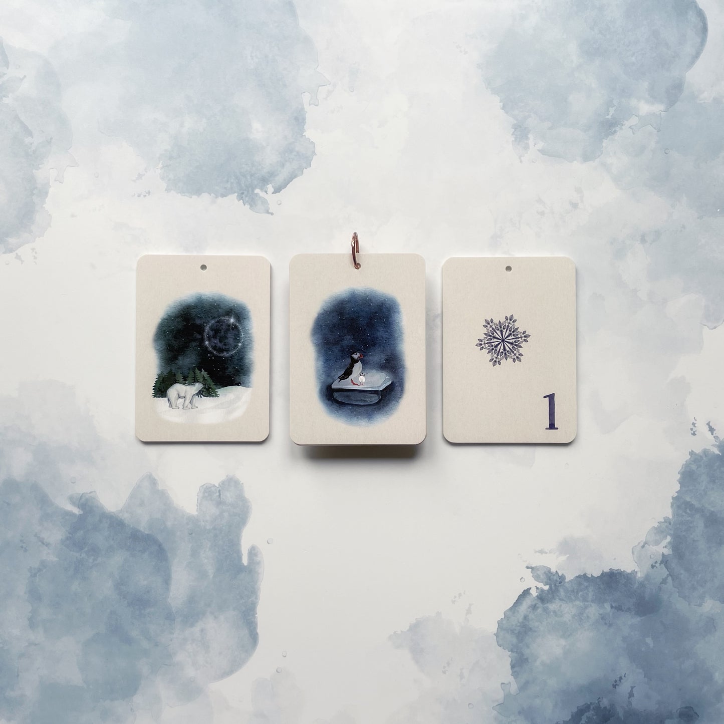 Étape 3 : Polar Friends - En un flash Flashcards