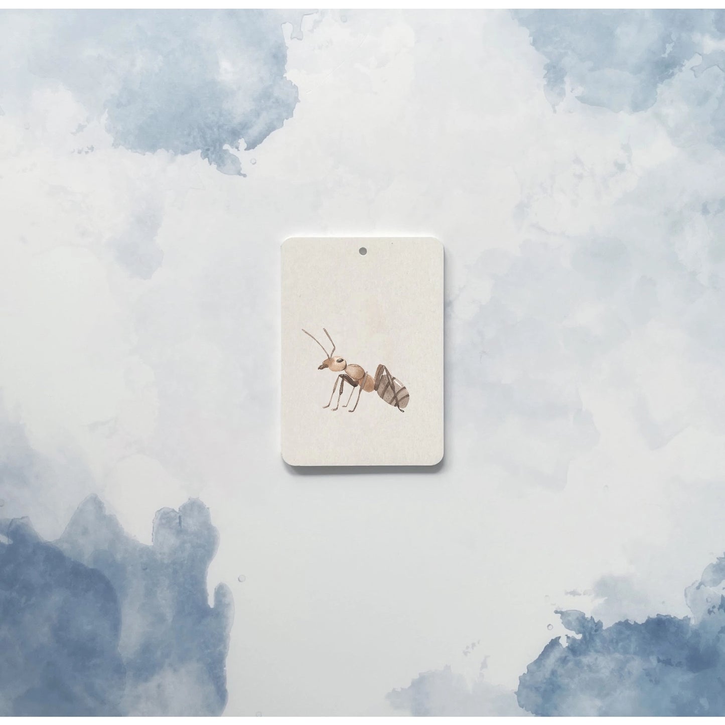 Mini-ensemble : Creepy Crawlies - In A Flash Flashcards