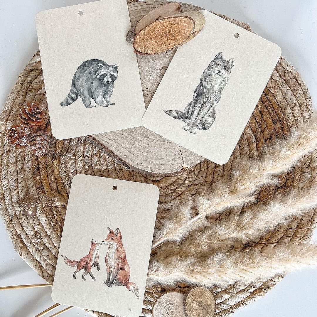 Étape 3 : Woodland Friends - En un Flash Flashcards