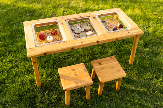 The Essential Three Bin Sensory Table