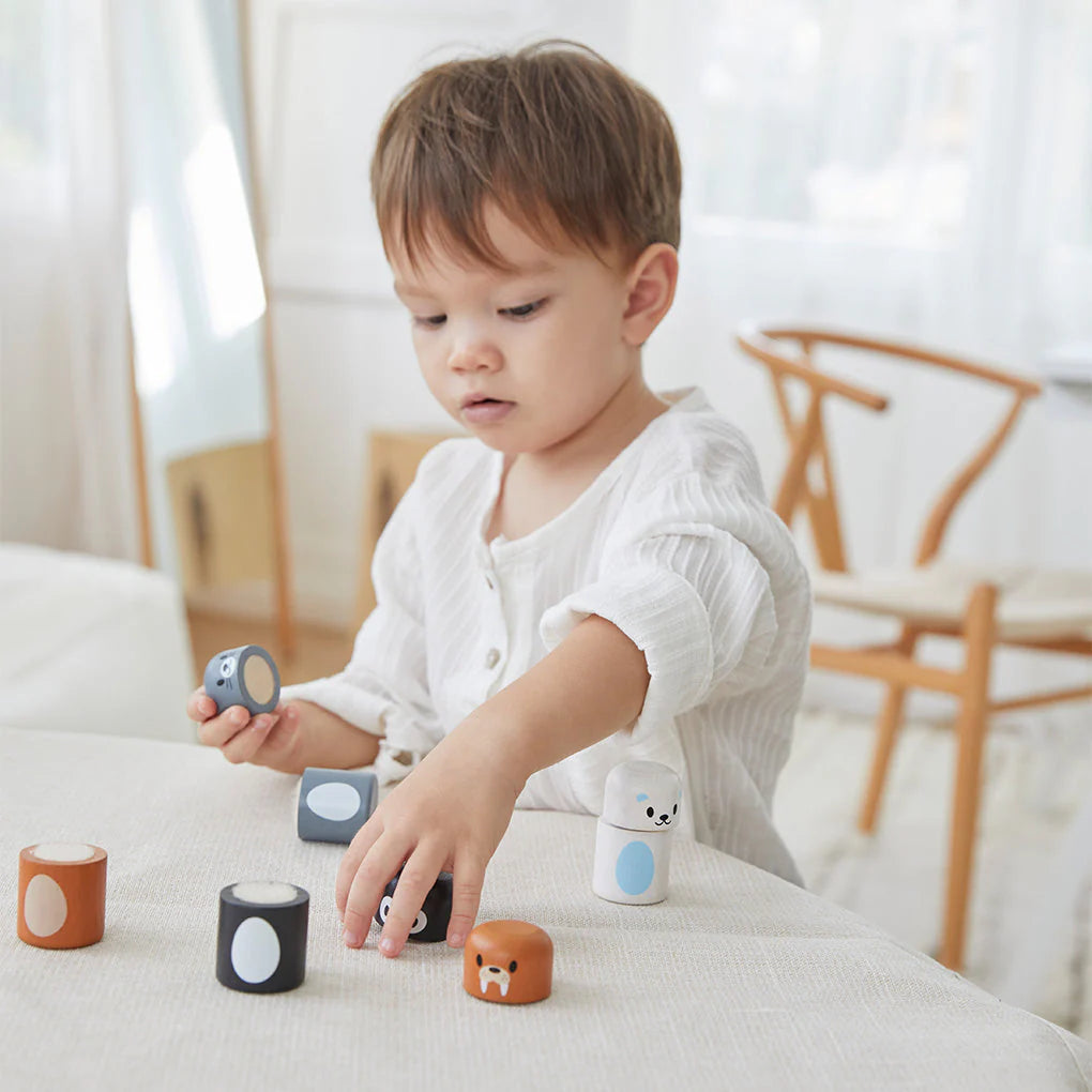 (OPEN BOX) Arctic Animals Matching Set by PlanToys