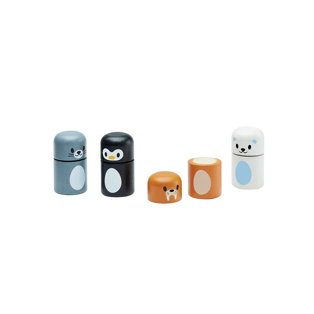 (OPEN BOX) Arctic Animals Matching Set by PlanToys