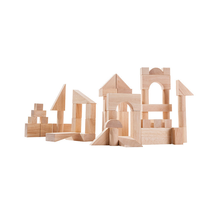 50 Unit Blocks by PlanToys