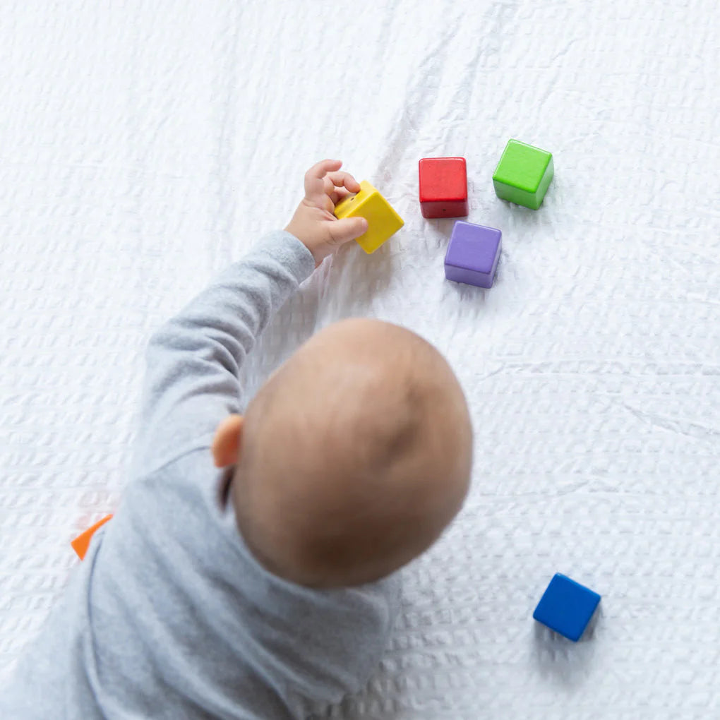(OPEN BOX) Activity Blocks by PlanToys
