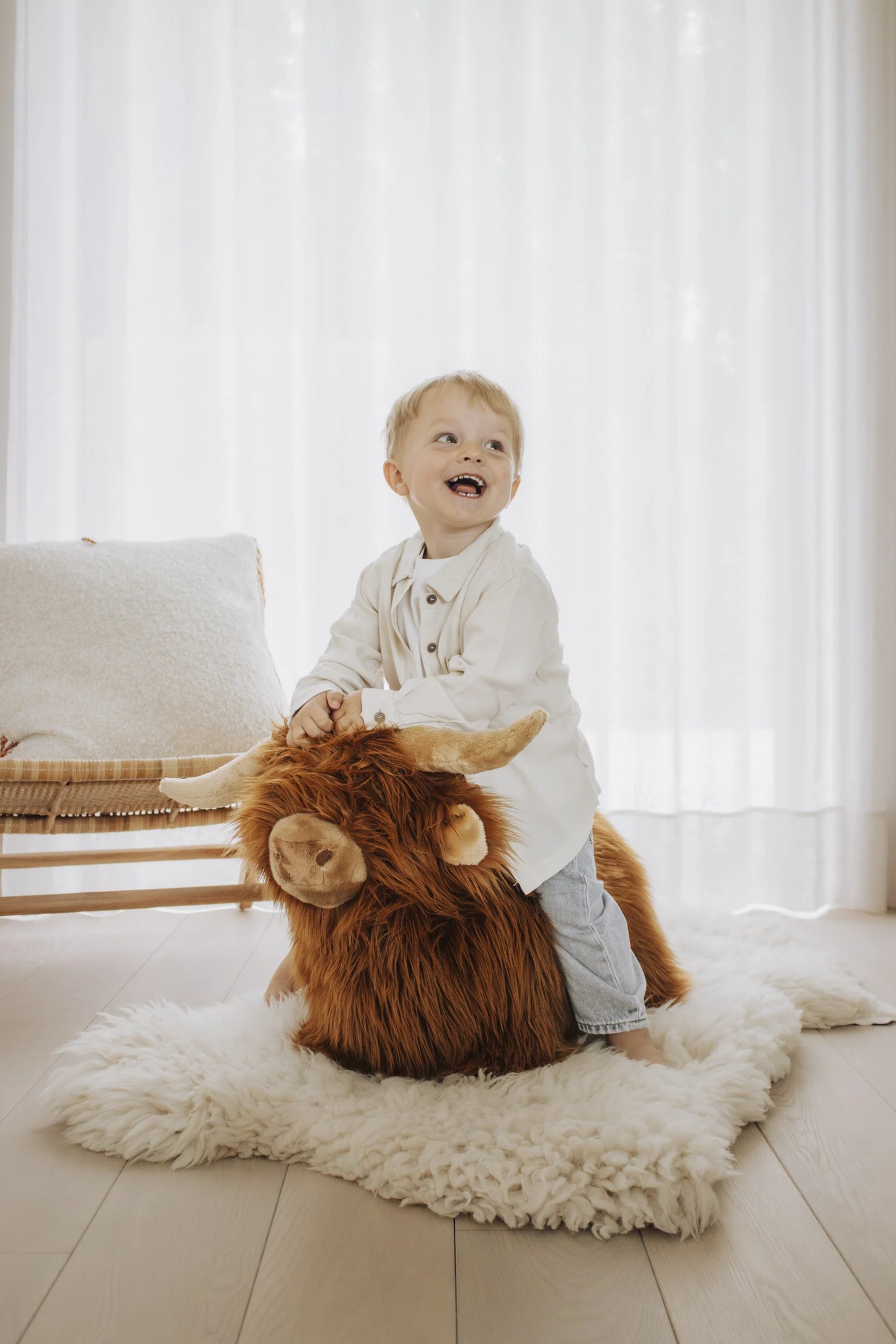 (DAMAGED BOX) Soft Bouncy Highland Cow by Wild & Soft
