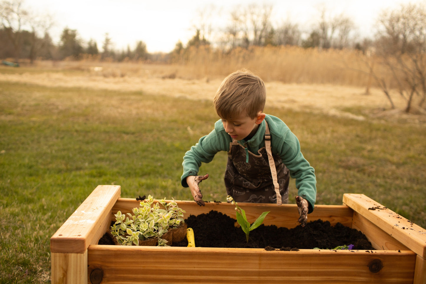 Raised Cedar Garden Bed