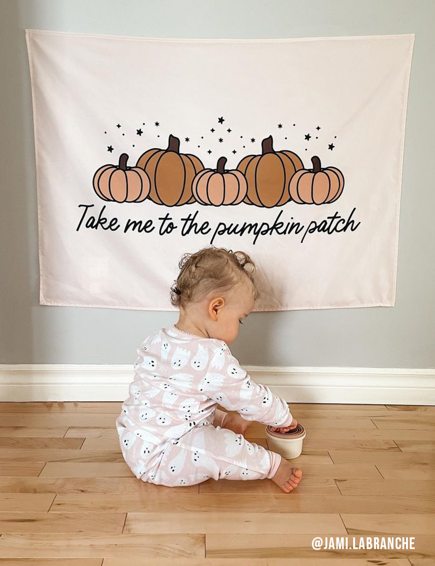 Take Me To The Pumpkin Patch Banner