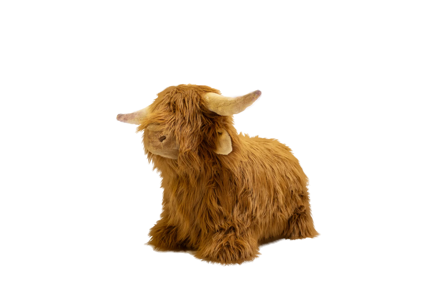 (DAMAGED BOX) Soft Bouncy Highland Cow by Wild & Soft