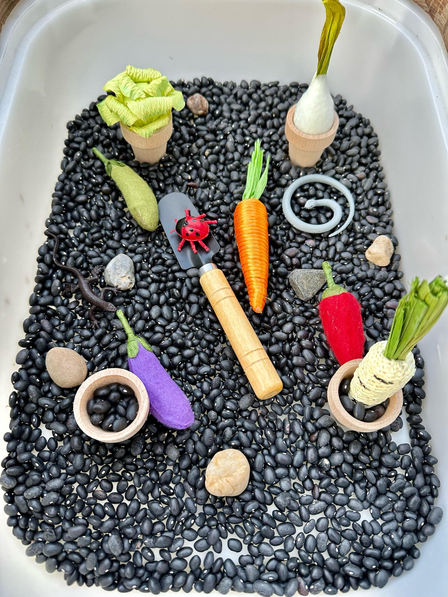 Vegetable Garden Kit by Sensory Made Simple