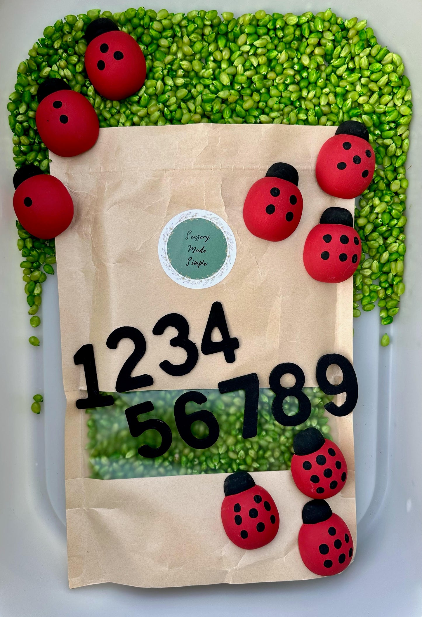 Kit de comptage de coccinelles par Sensory Made Simple