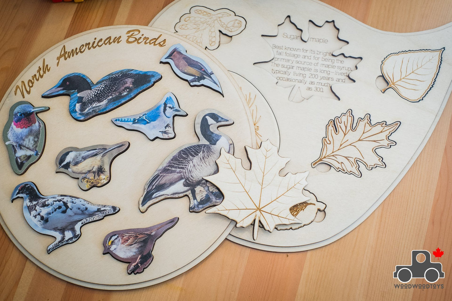 Birds of Canada Handmade Wood Wood Exclusive Puzzle - Wood Wood Toys Canada's Favourite Montessori Toy Store