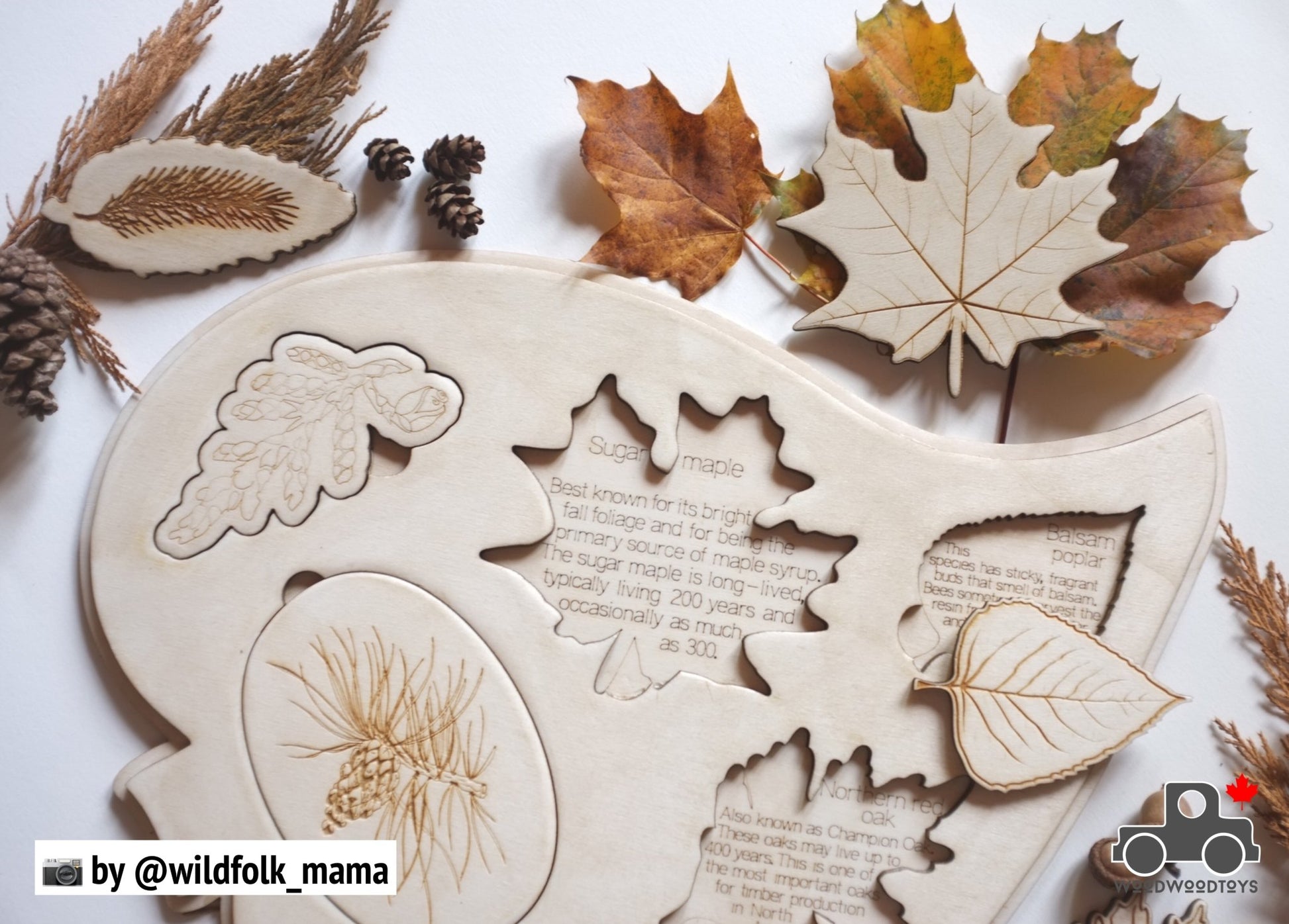 Handmade Leaves of Canada Puzzle by Wood Wood Toys - Wood Wood Toys Canada's Favourite Montessori Toy Store